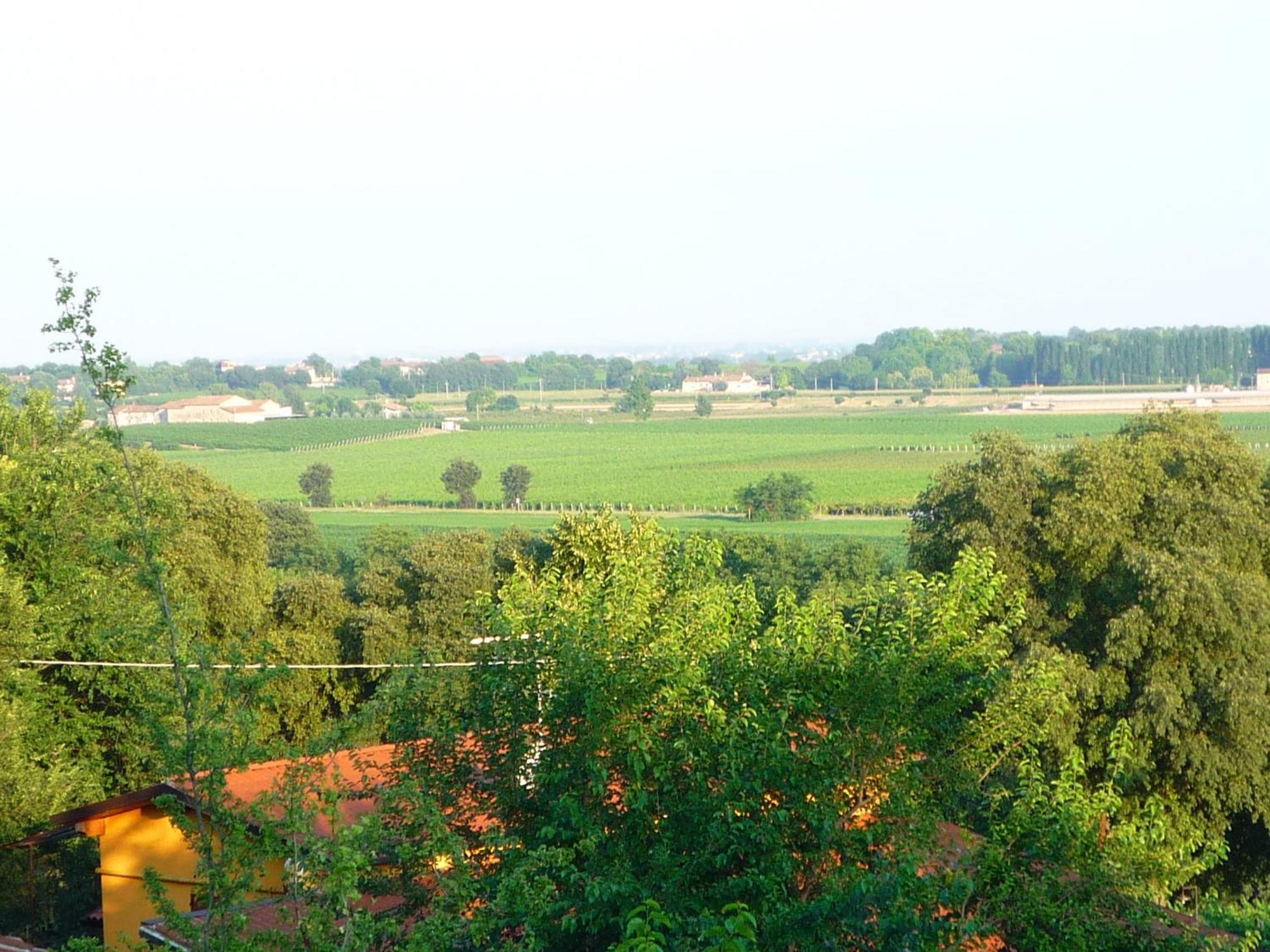 Agriturismo Lupo Bianco Monzambano Exteriér fotografie