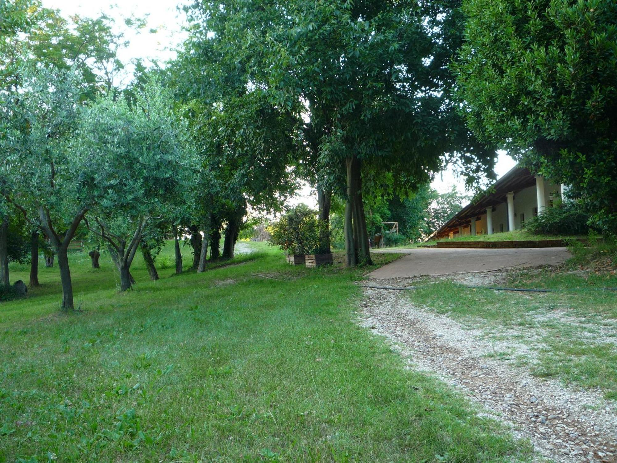 Agriturismo Lupo Bianco Monzambano Exteriér fotografie